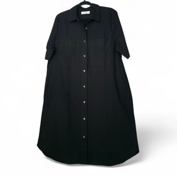Everlane The Oxford Shirt Dress - Picture 12 of 12